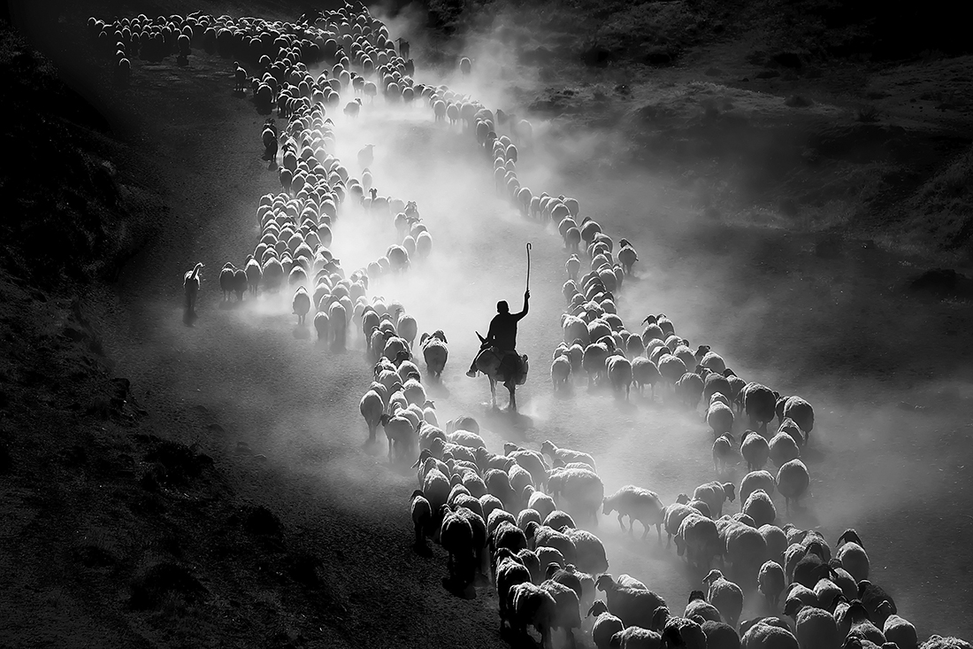Monovisions Photography Awards International Black And White Photo Contest Show Winnersgallery