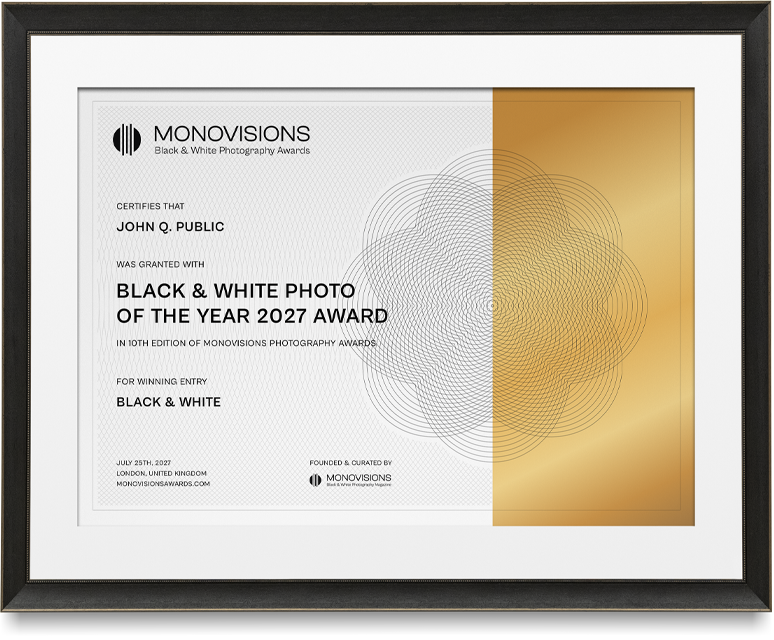 Monovisionsawards 2027 certificate