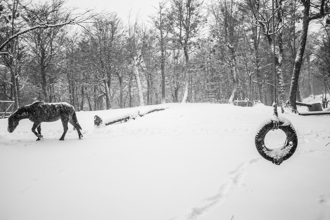 Heliophany - Winter landscapes of the Far South