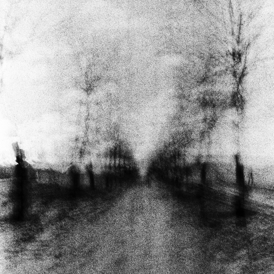 Winter mist