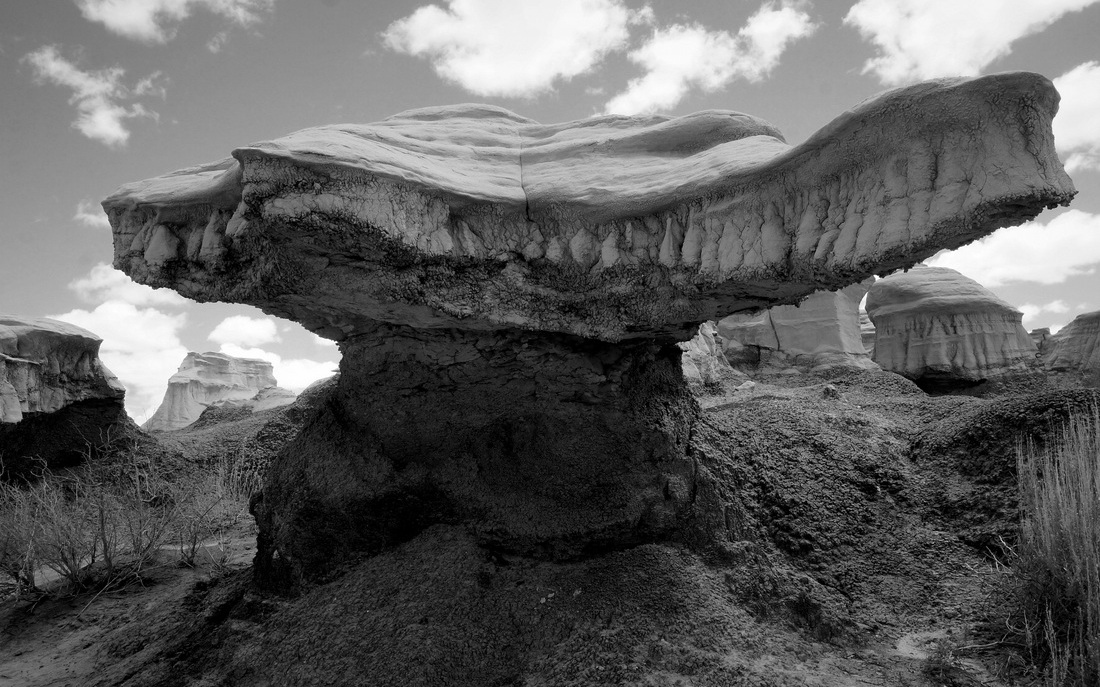 Nice but Bizarre Bisti Badlands Widernes