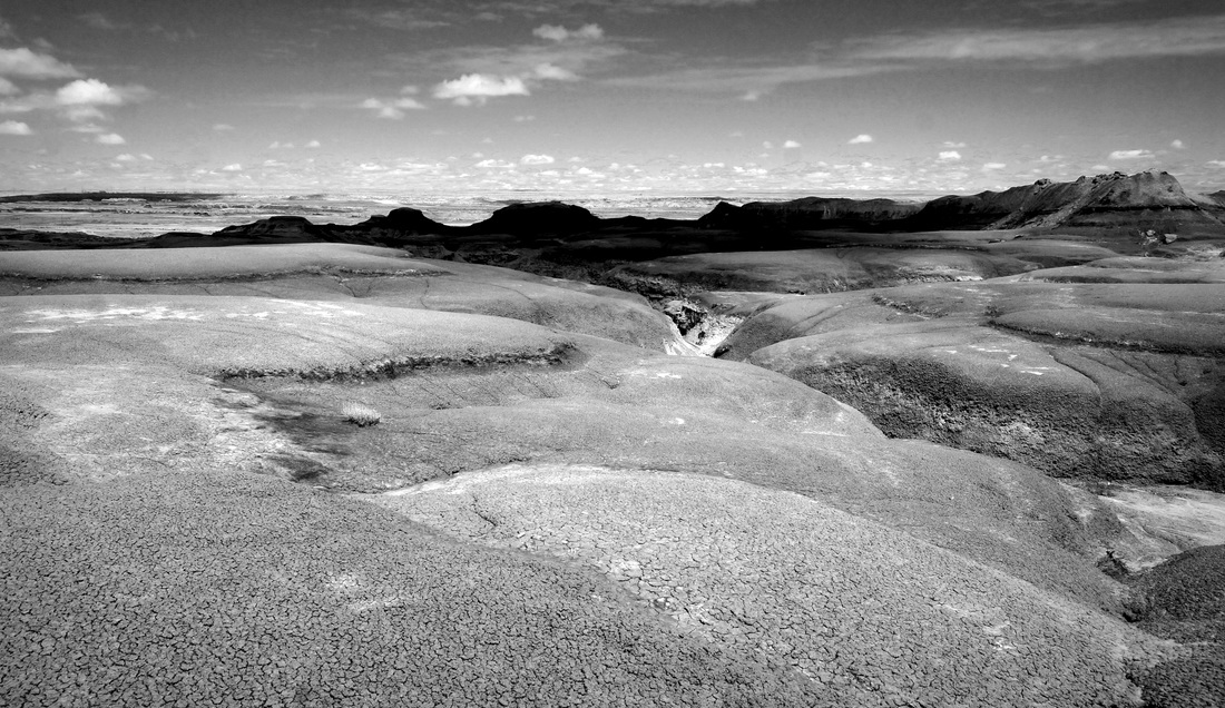 Nice but Bizarre Bisti Badlands Widernes