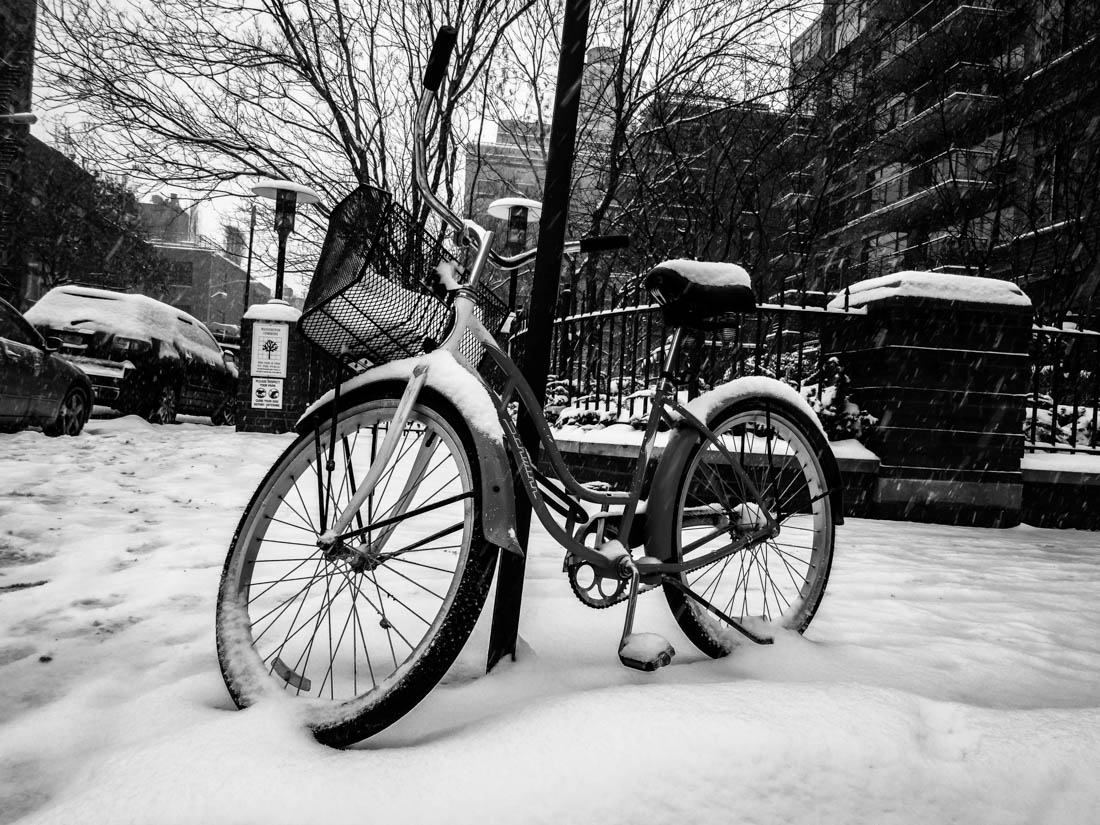 Schwinn In Stasis 