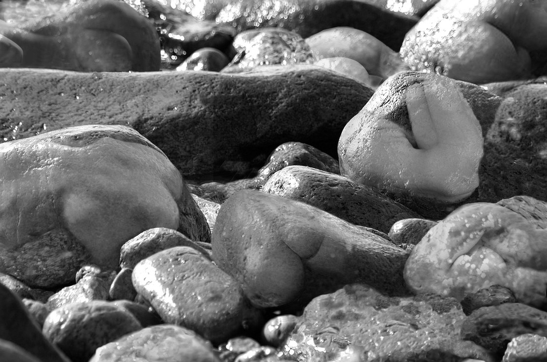 Anthropomorphism