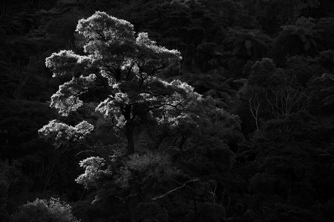 Southern Alps, New Zealand