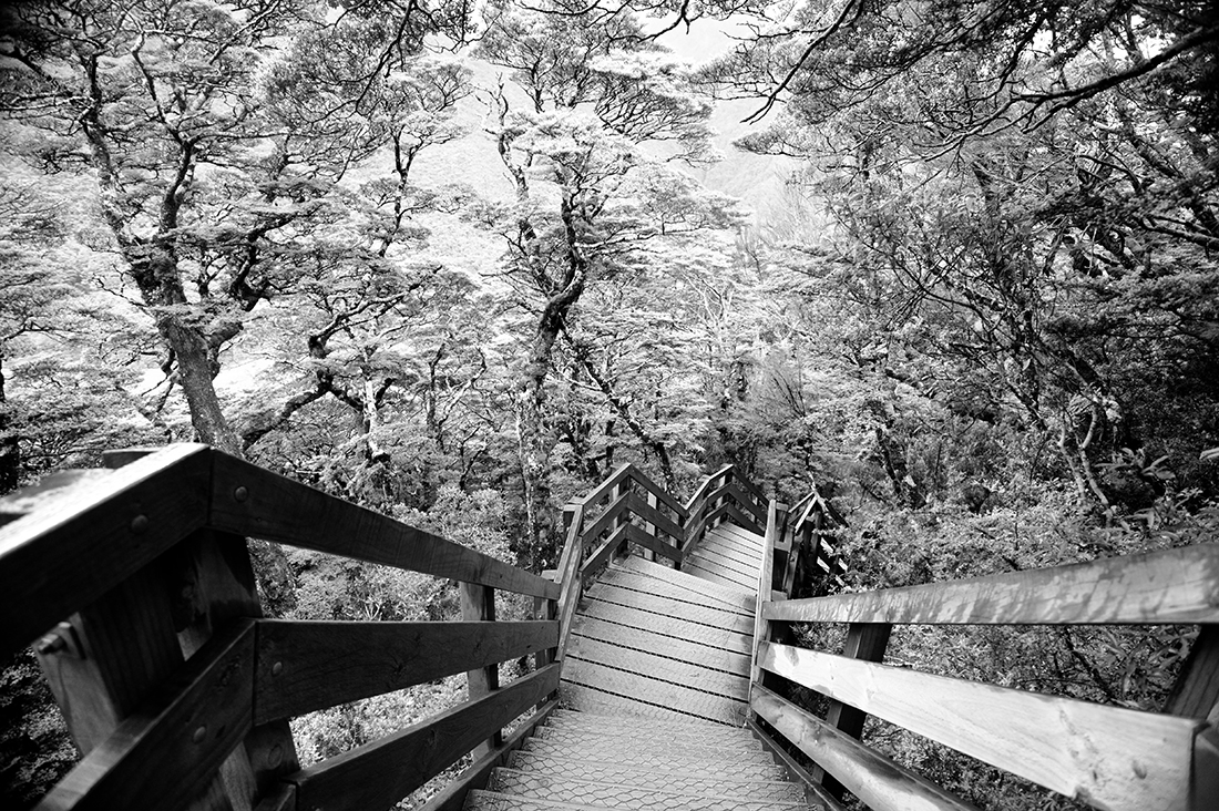 Southern Alps, New Zealand