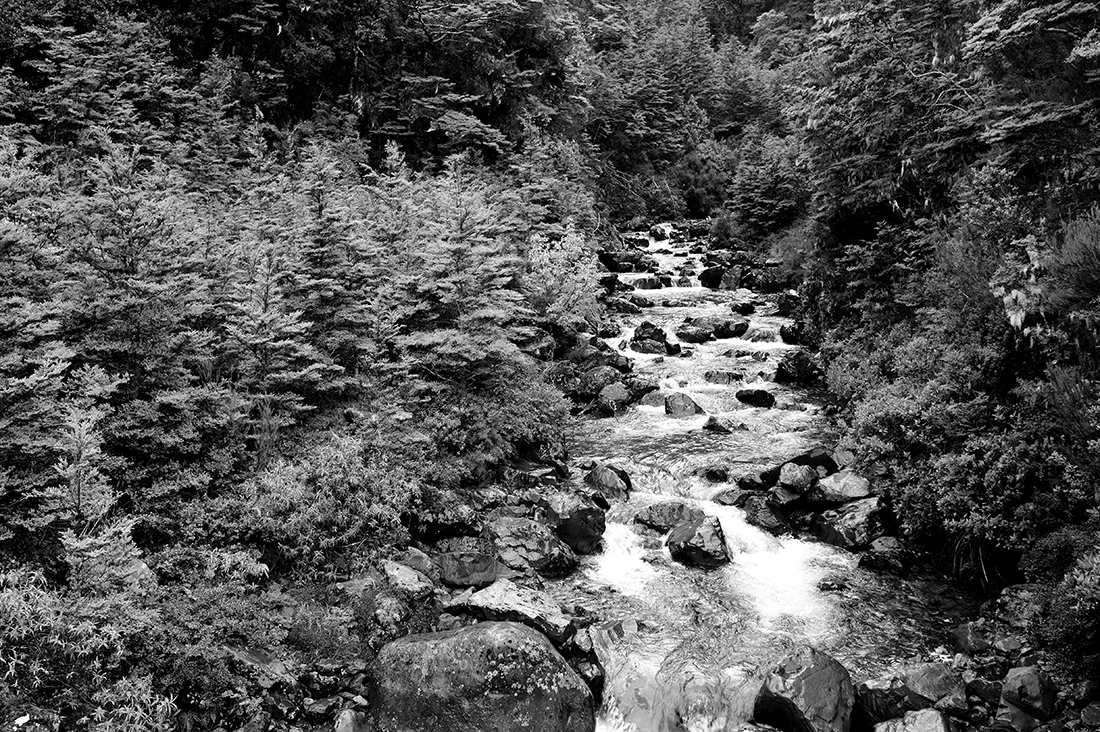 Southern Alps, New Zealand