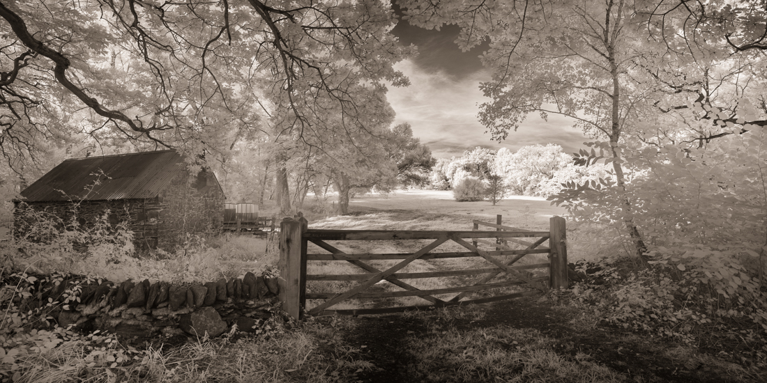 Woodlands of Charnwood Forest in infrared.