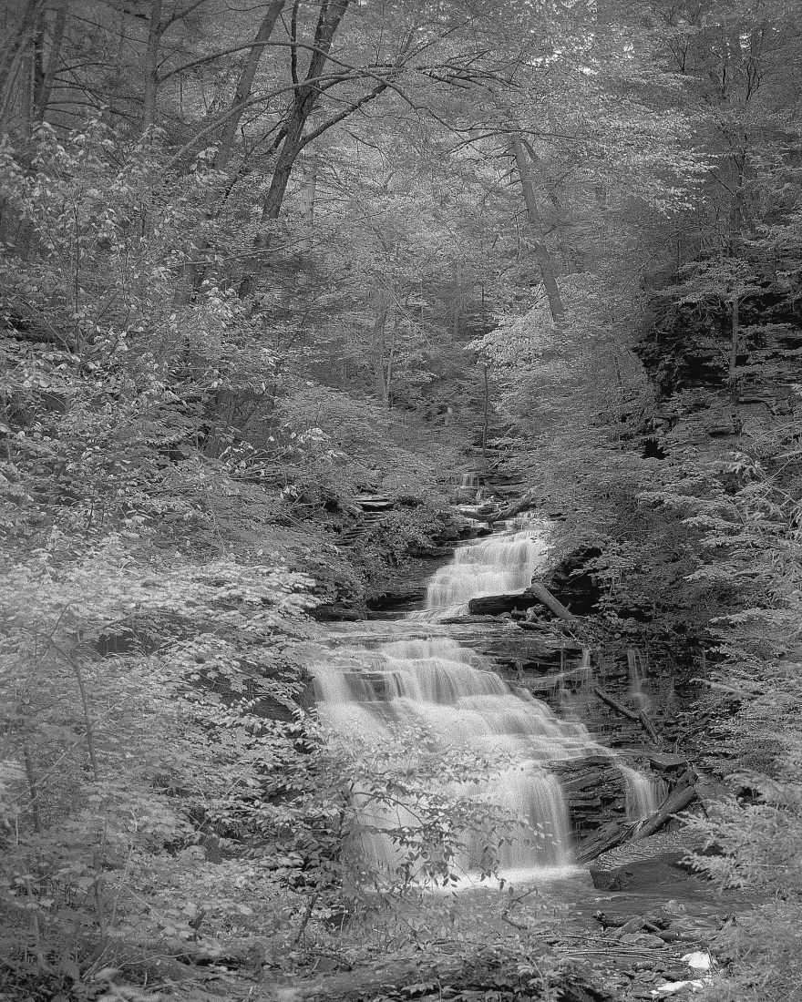 The Falls Trail at Ricketts Glen.