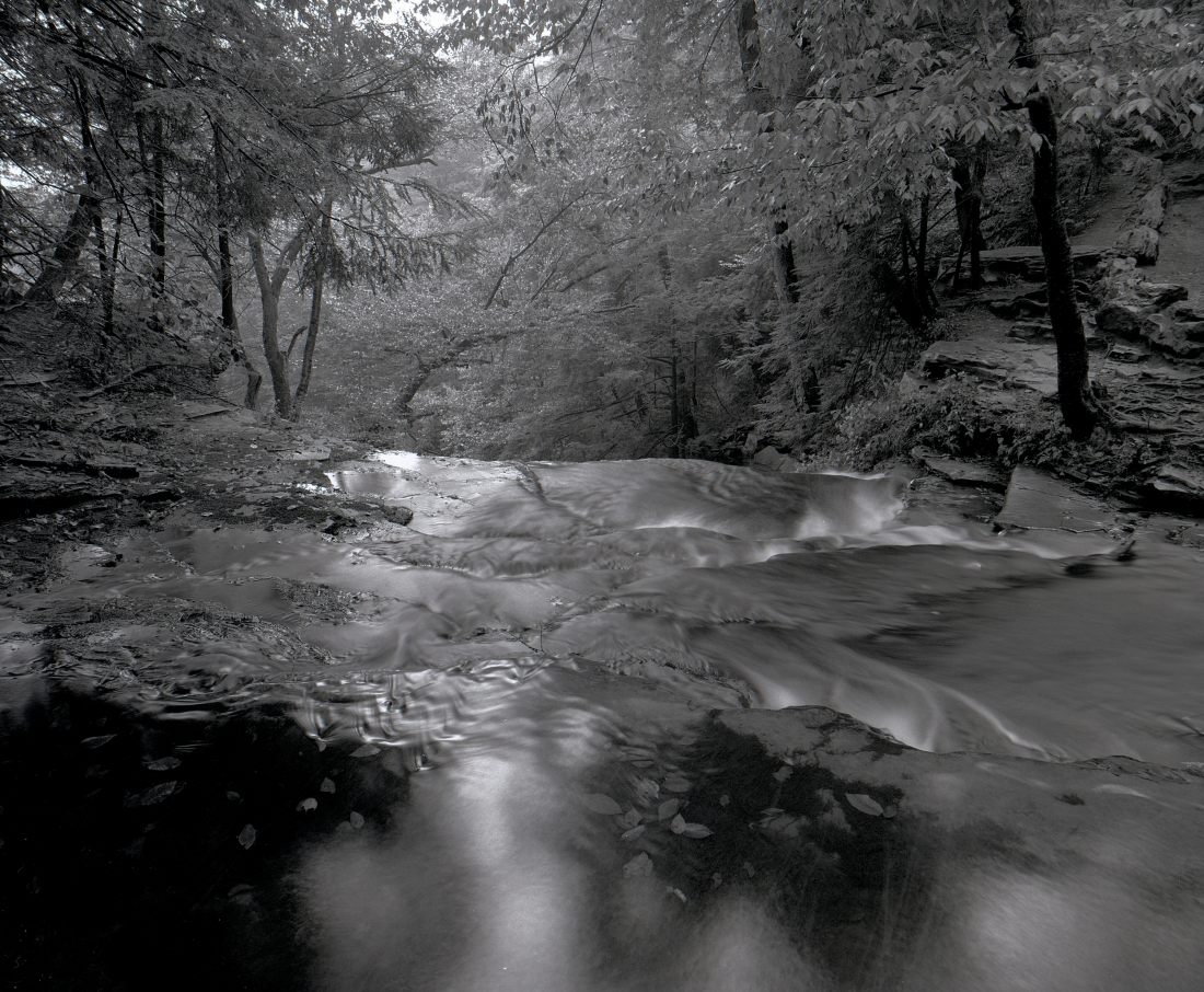 The Falls Trail at Ricketts Glen.