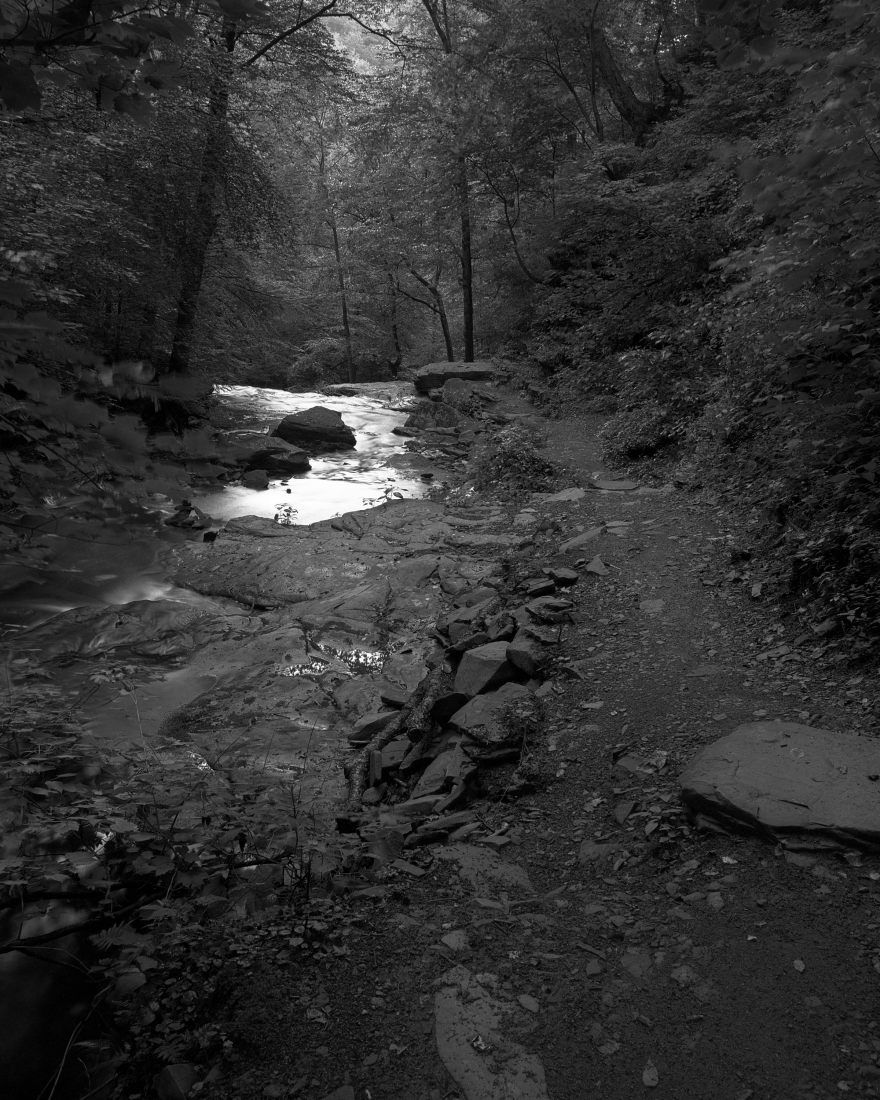The Falls Trail at Ricketts Glen.
