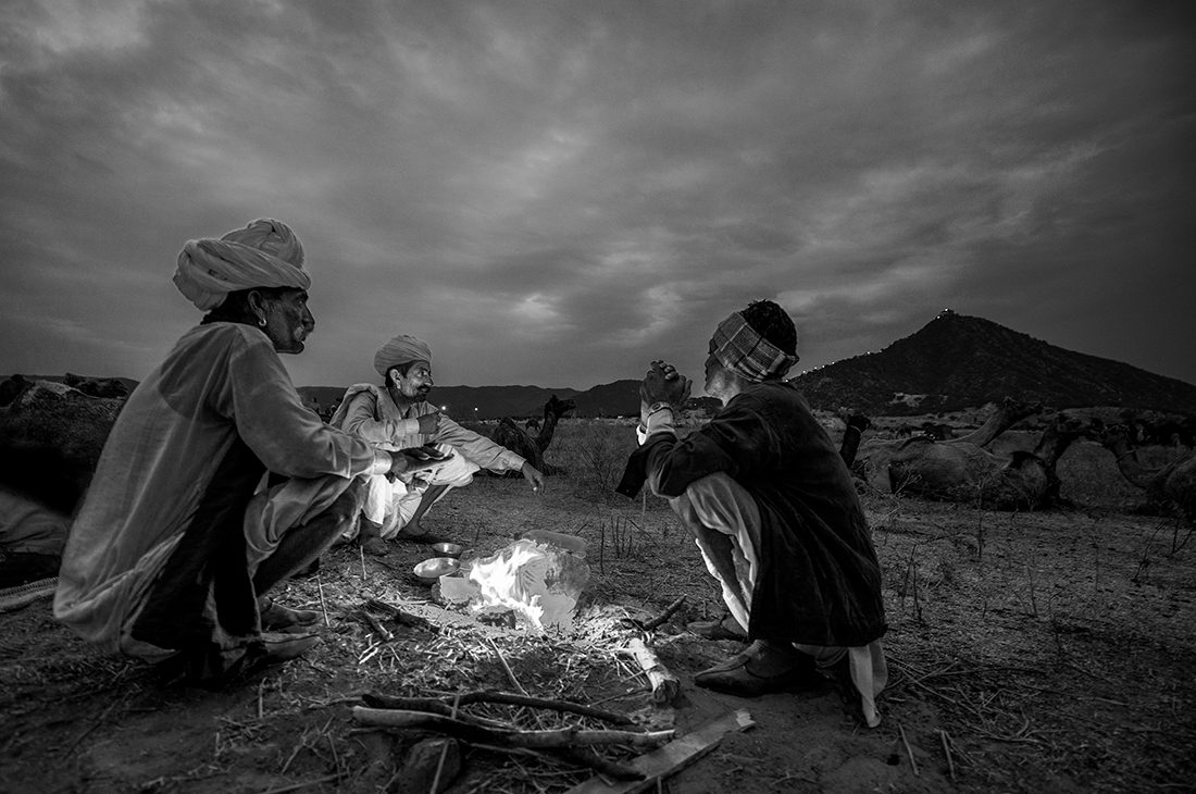 Camel herders