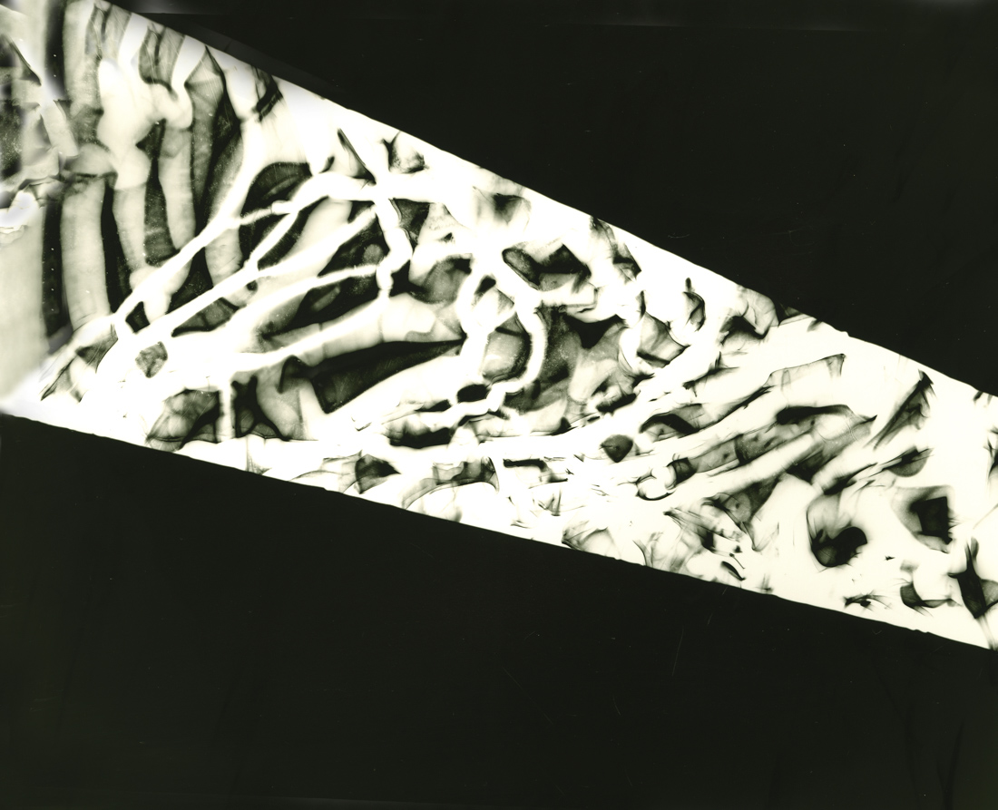 The Intimacy of the Photogram