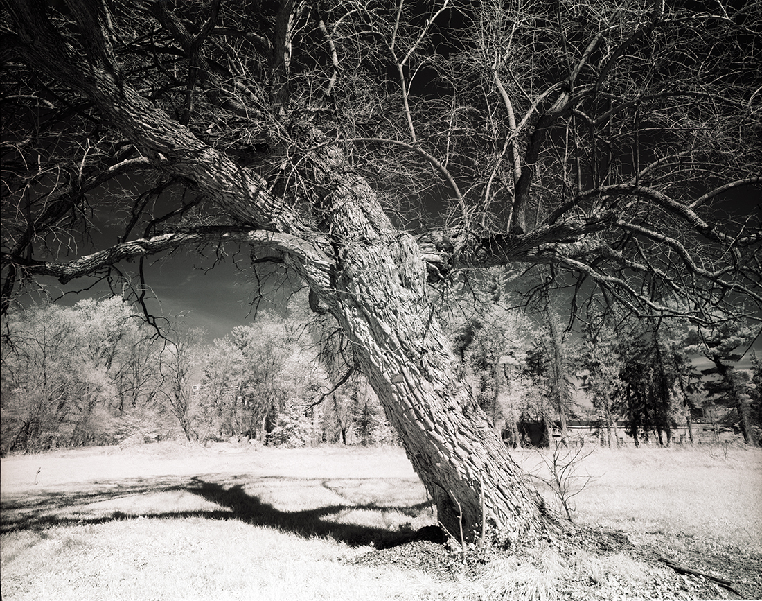 Infrared Landscapes