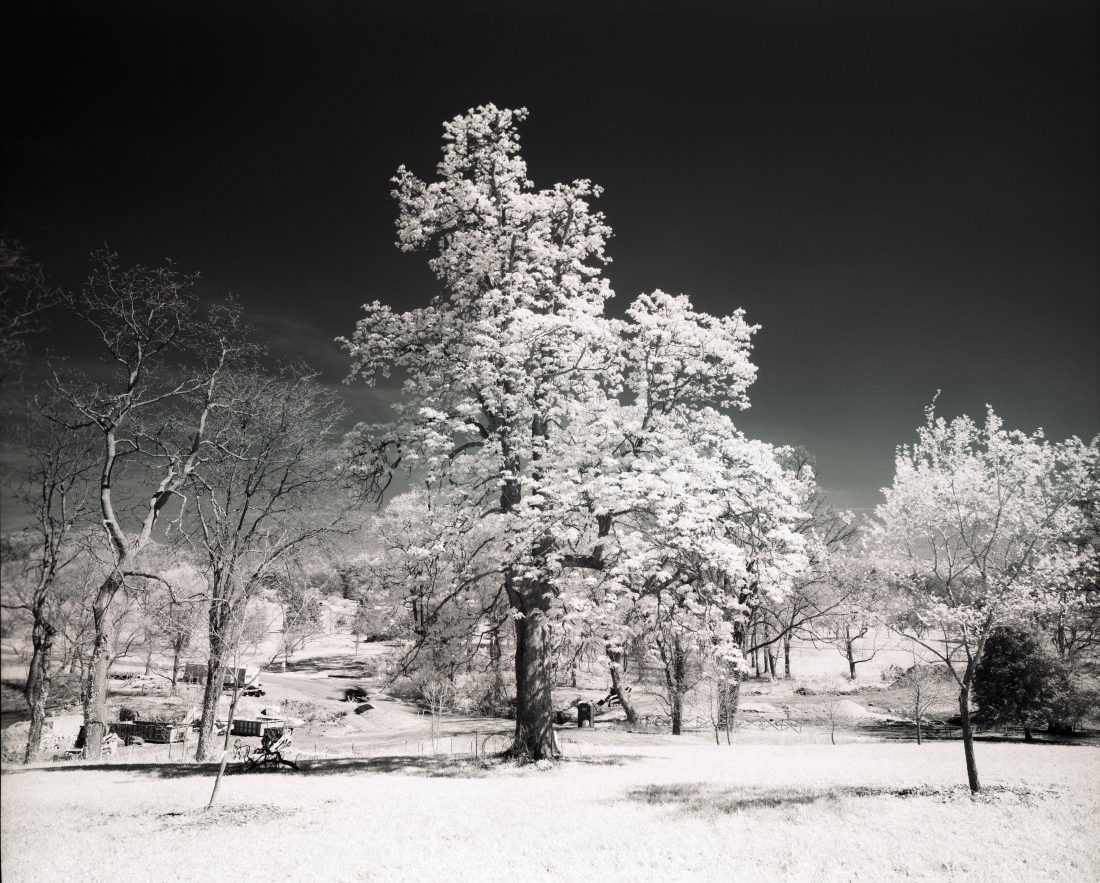 Infrared Landscapes