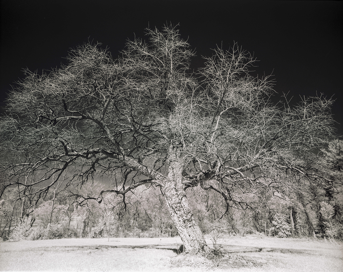 Infrared Landscapes
