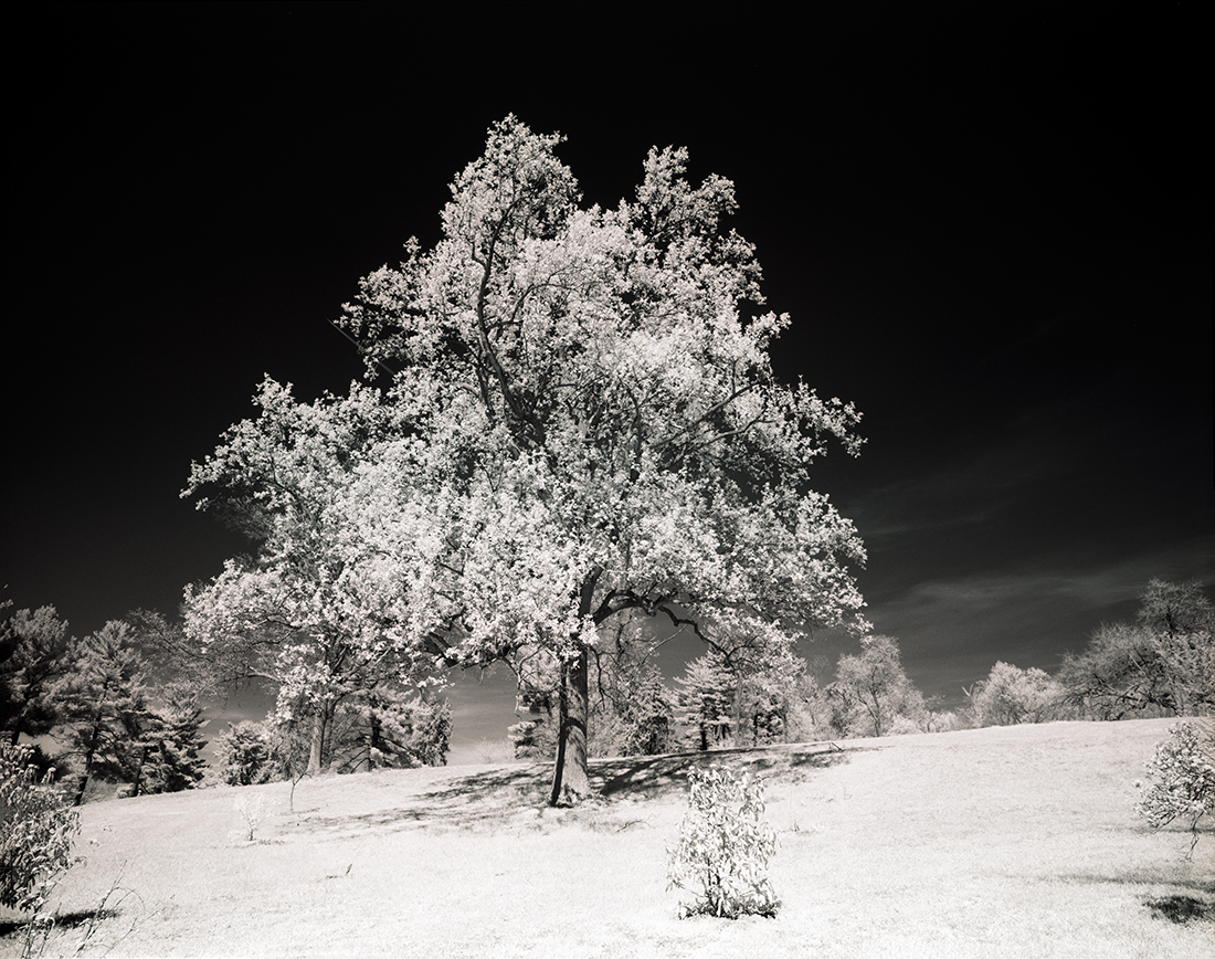 Infrared Landscapes