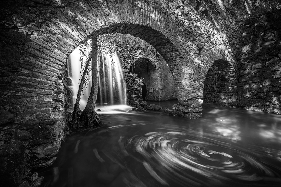 GREEN LEAVES OF WATERFALL