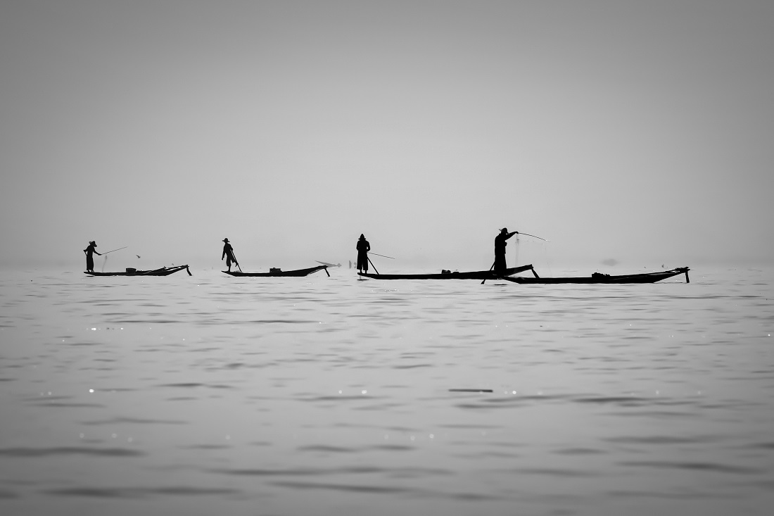 Fifty Shades of Grey