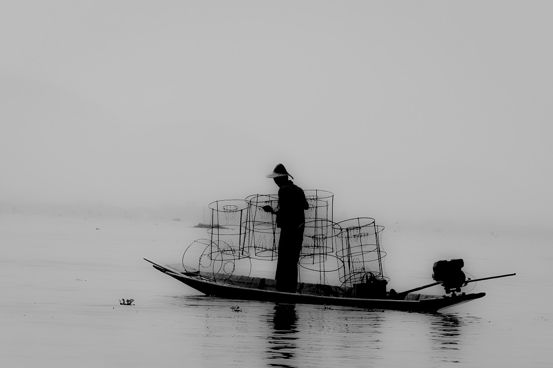 Fifty Shades of Grey