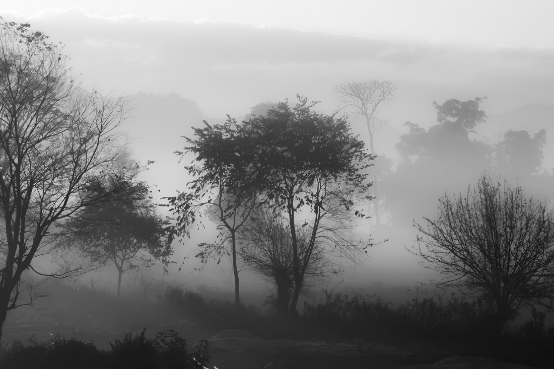 Fifty Shades of Grey