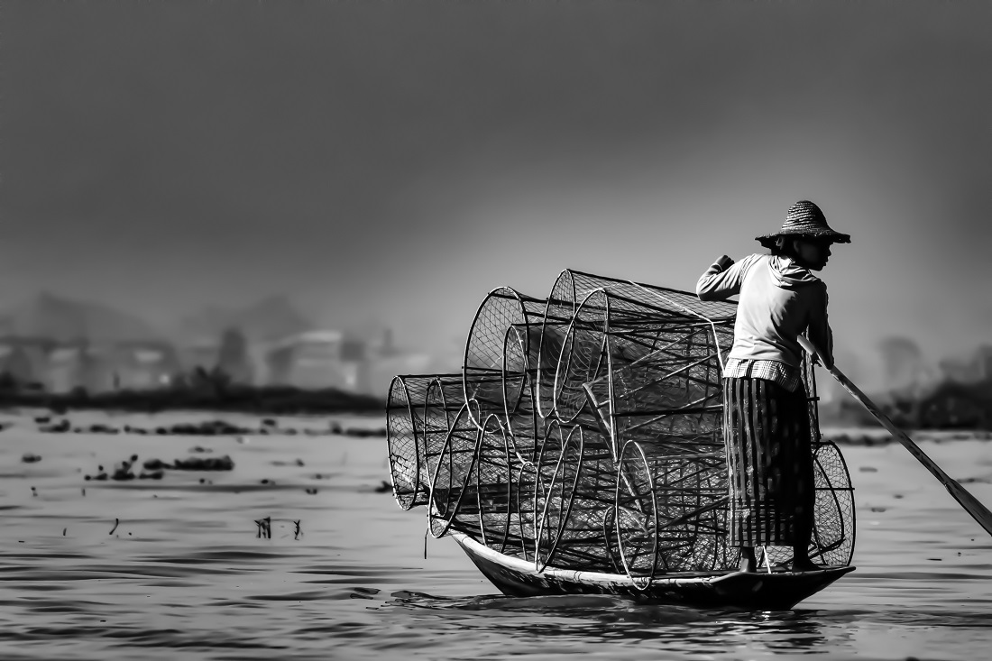 Fifty Shades of Grey