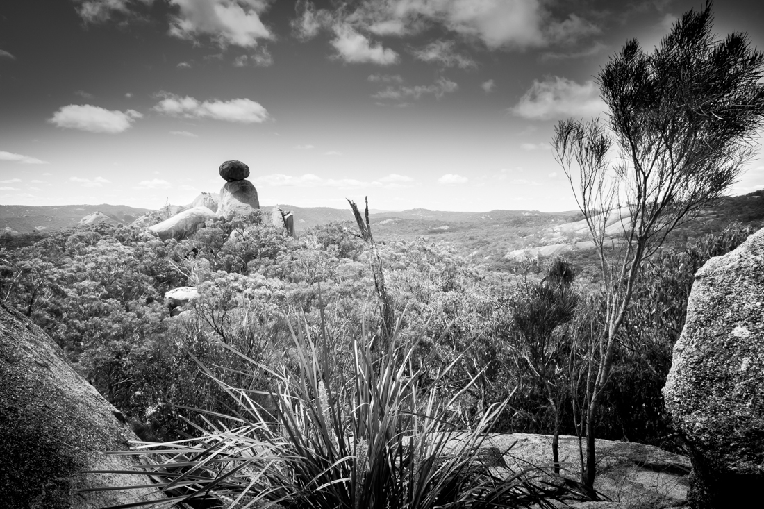Girraween Landscape Forms