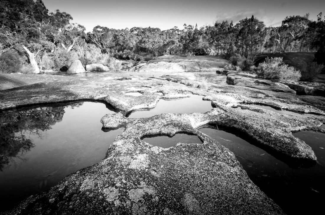 Girraween Landscape Forms