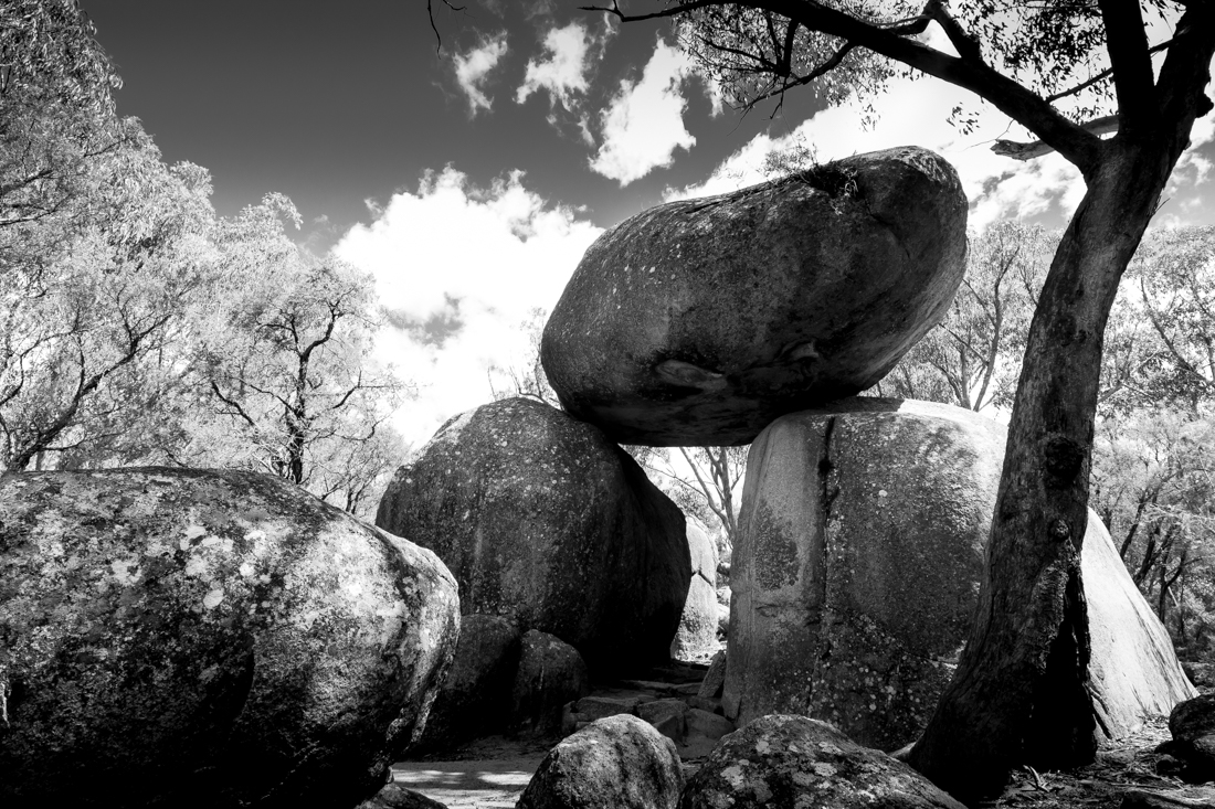 Girraween Landscape Forms