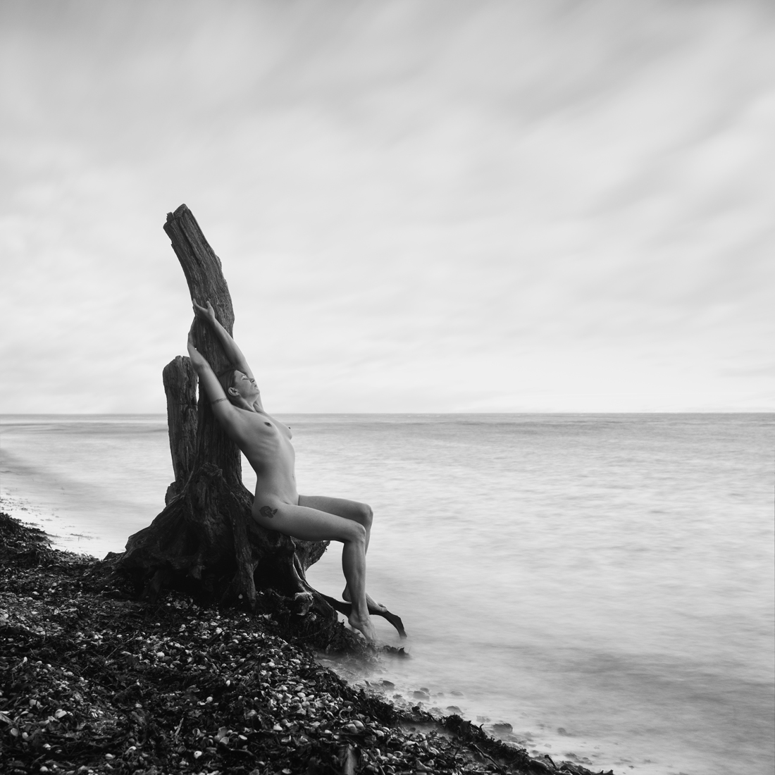 Stillness and Motion
