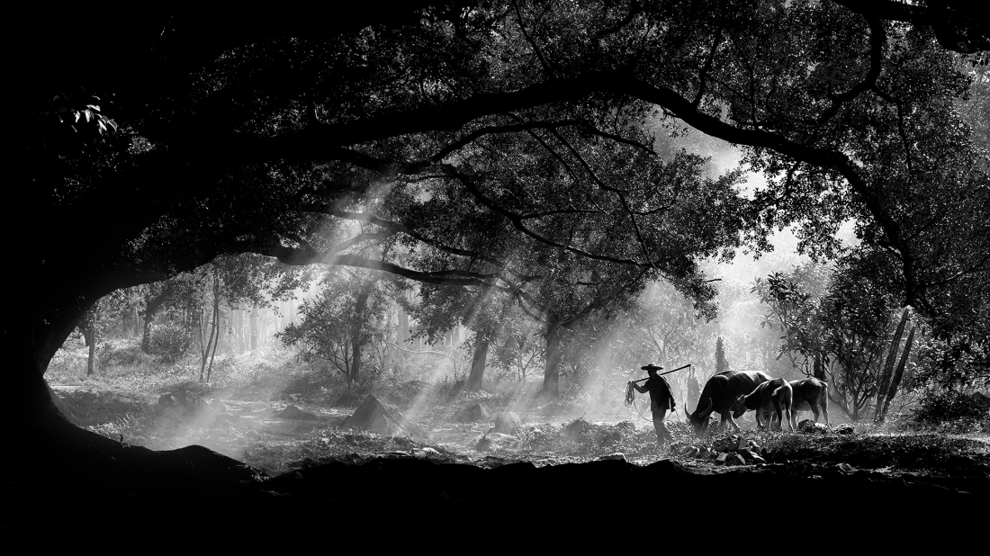 chinese farmer