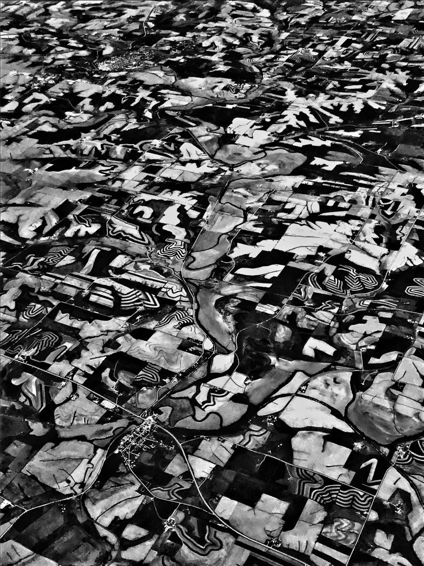 Puzzle Farmland