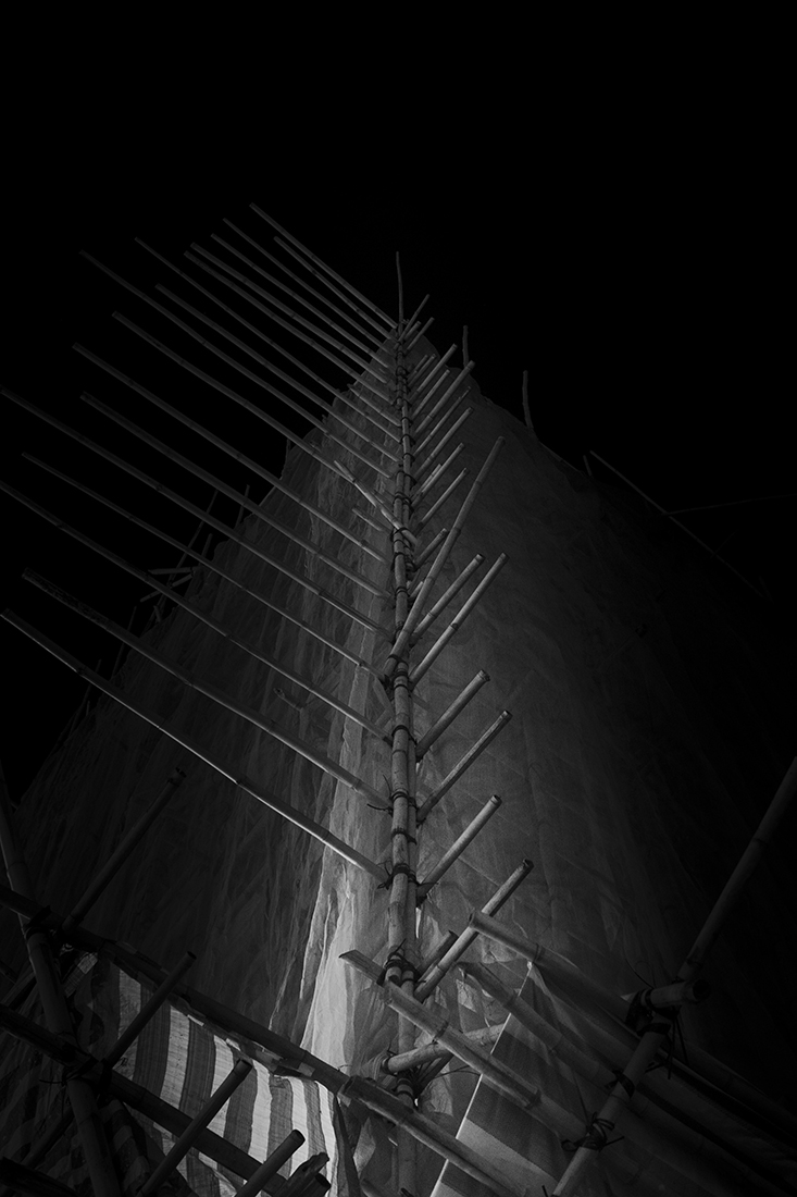 The Bamboo Incubation