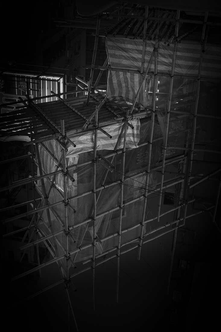The Bamboo Incubation