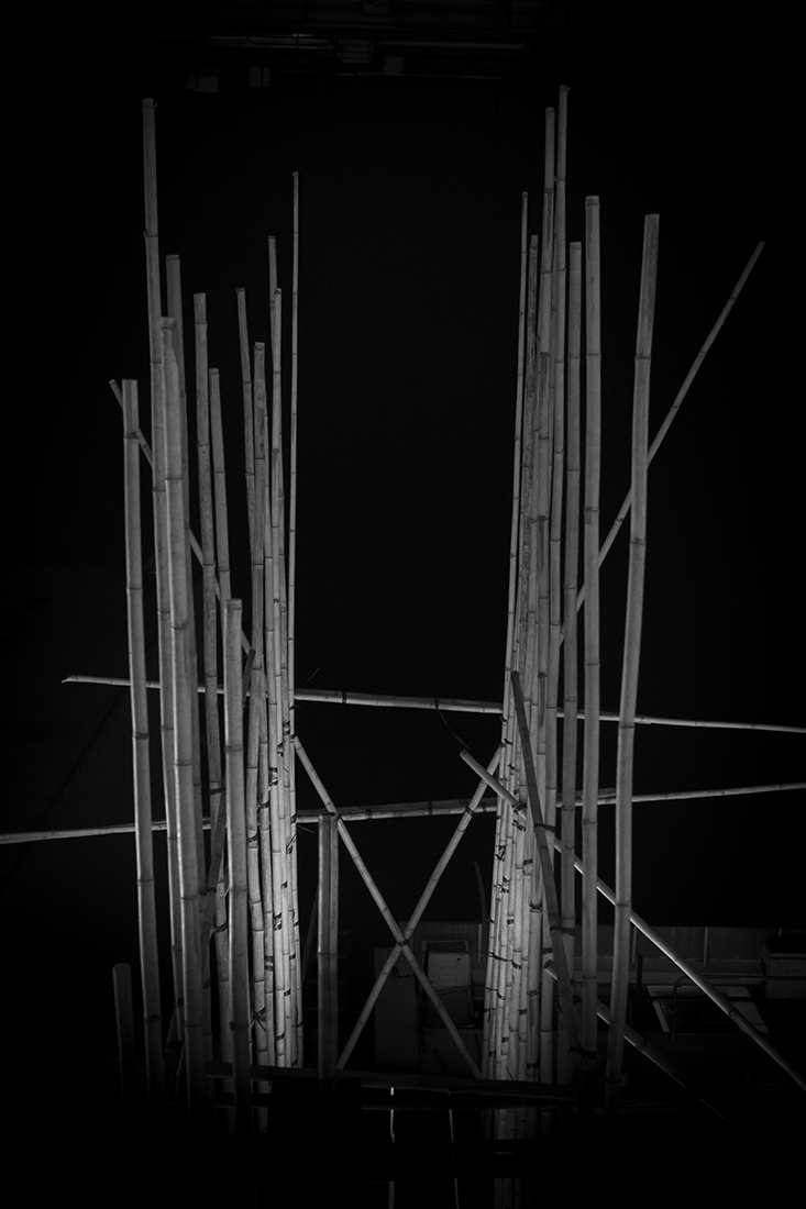 The Bamboo Incubation