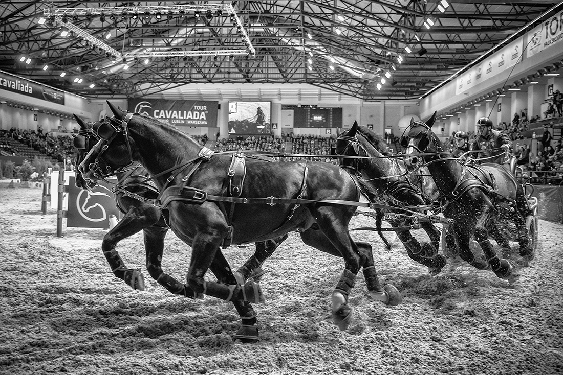 Cavaliada 2017 in Warsaw