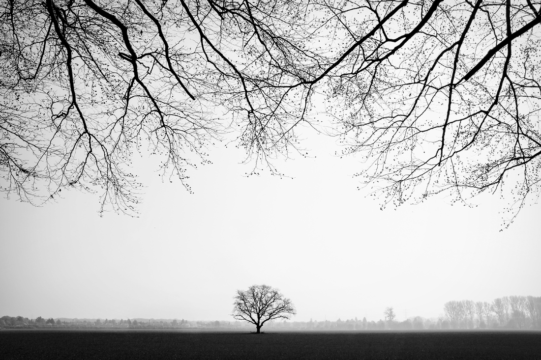 Lonely
