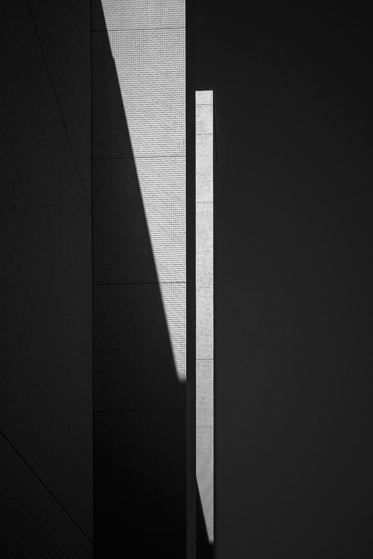 Lines of Shadow