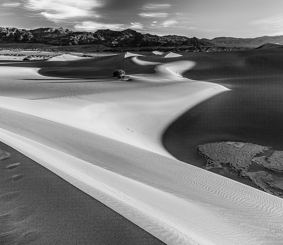 Shadows and Lines