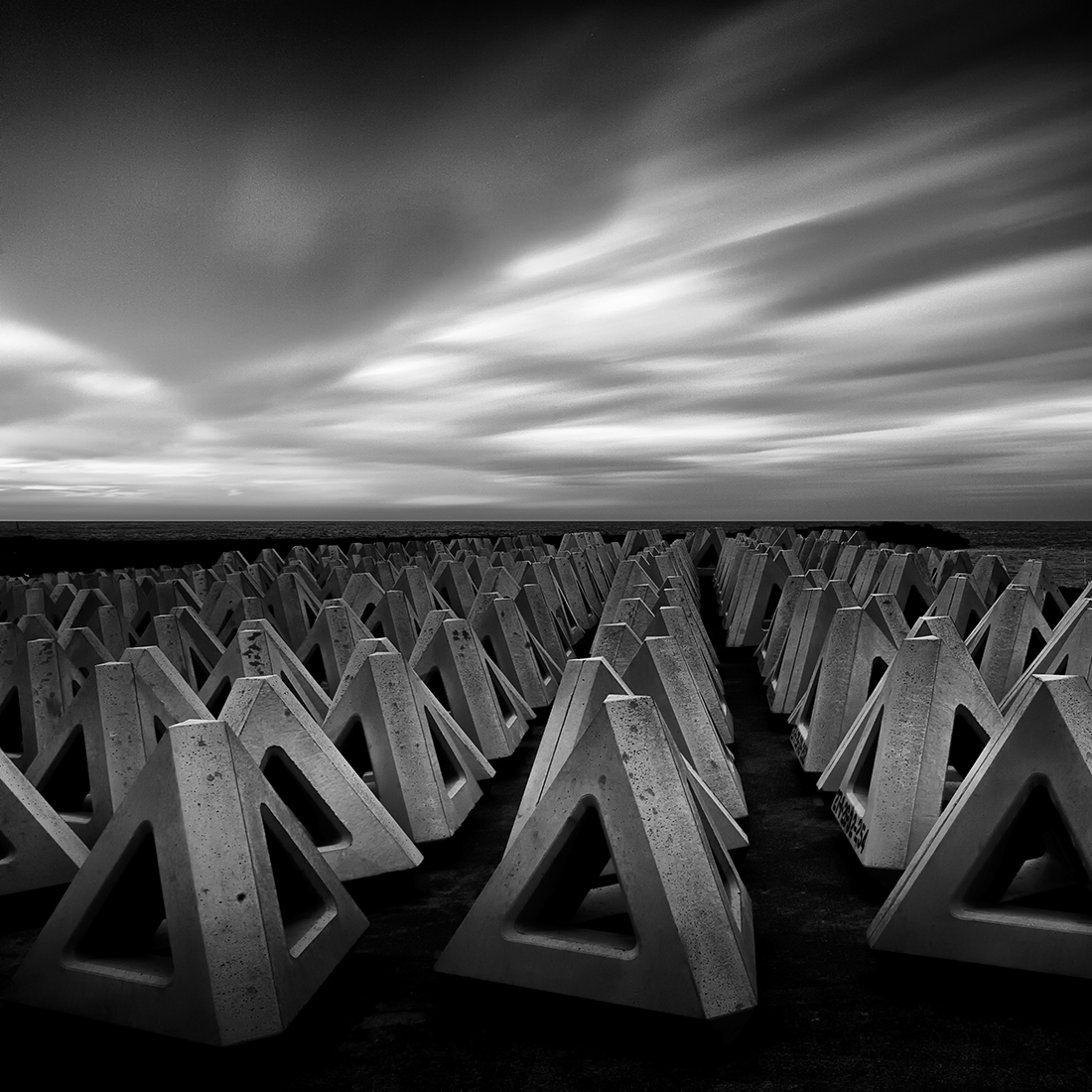 Tetrapods on the coast