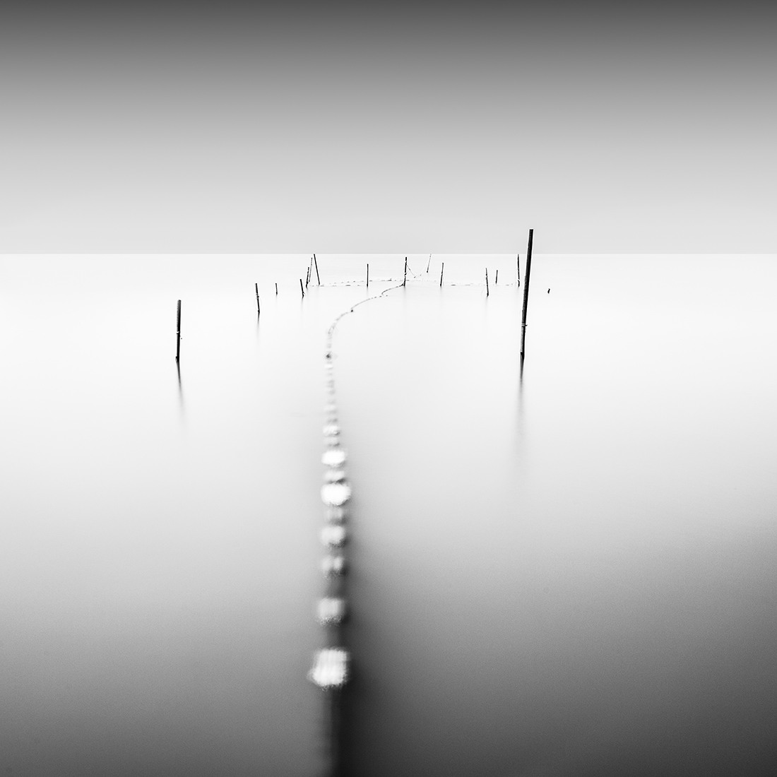 Silent Melody