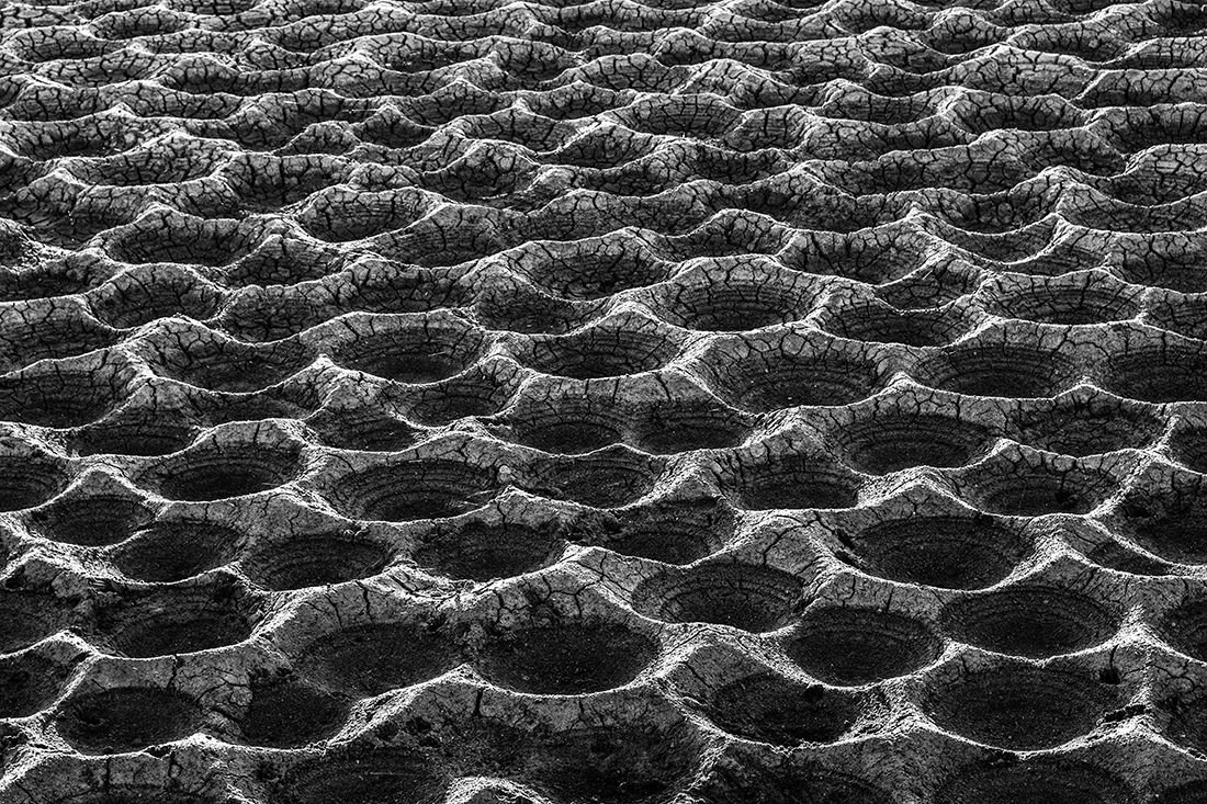 Surrealism in fish ponds