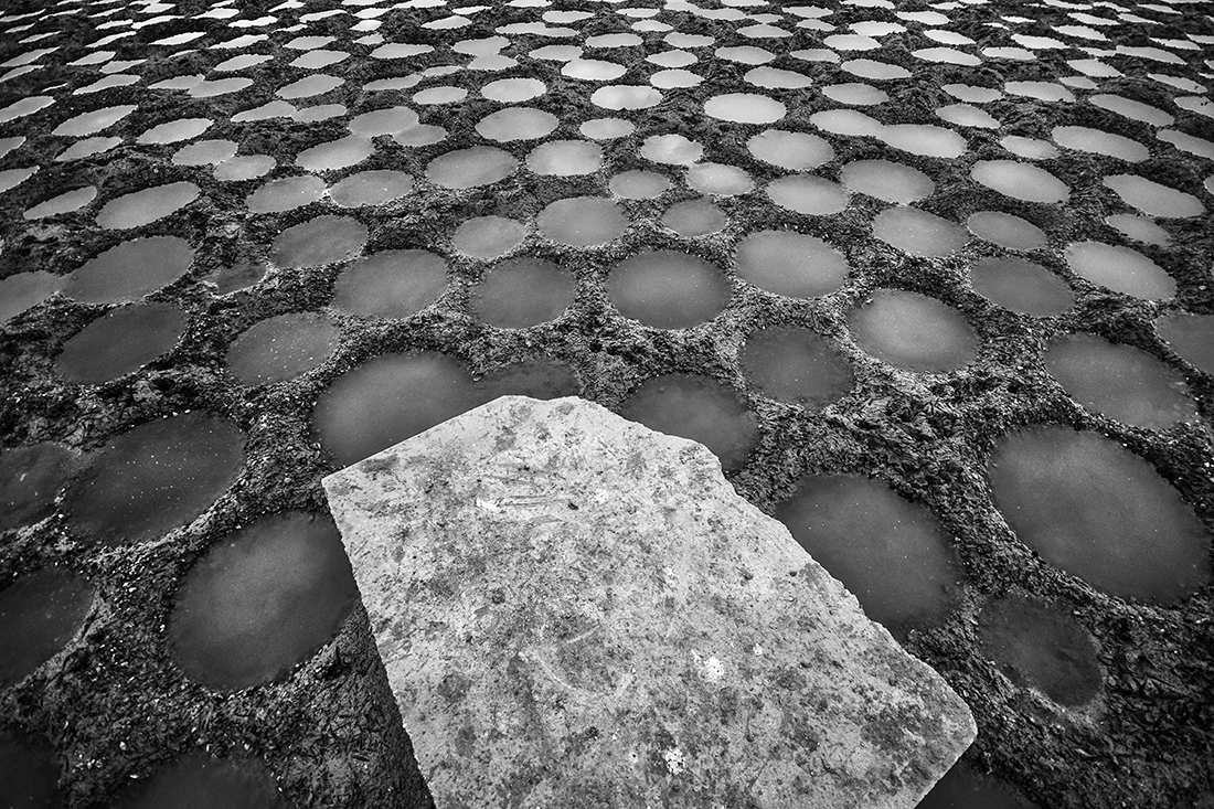 Surrealism in fish ponds