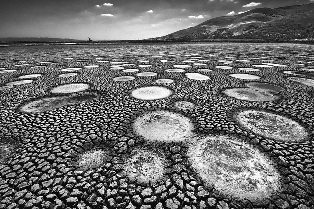 Surrealism in fish ponds