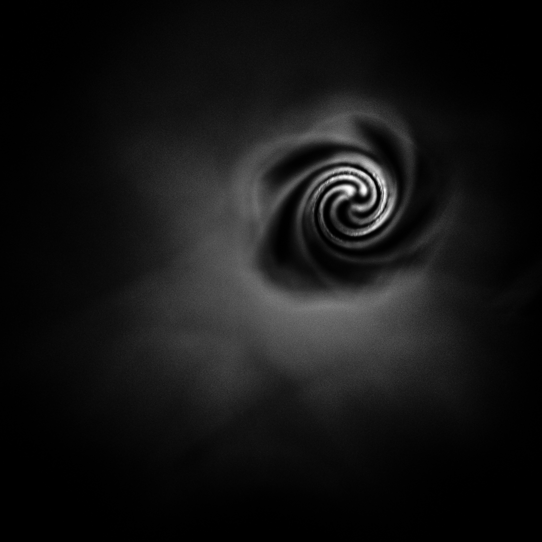 Cosmoflora