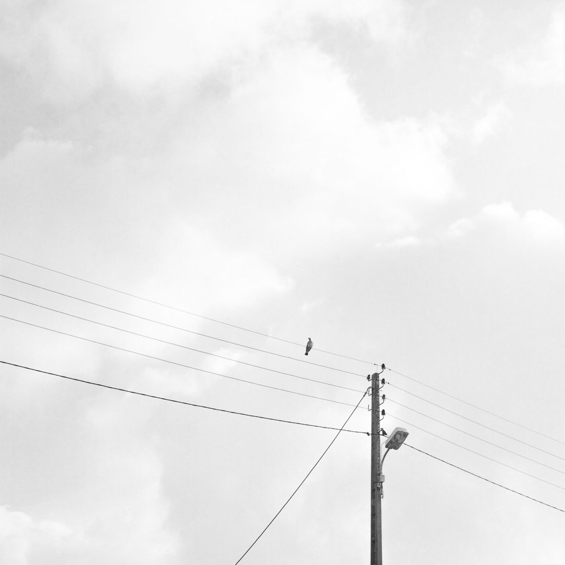 Lines