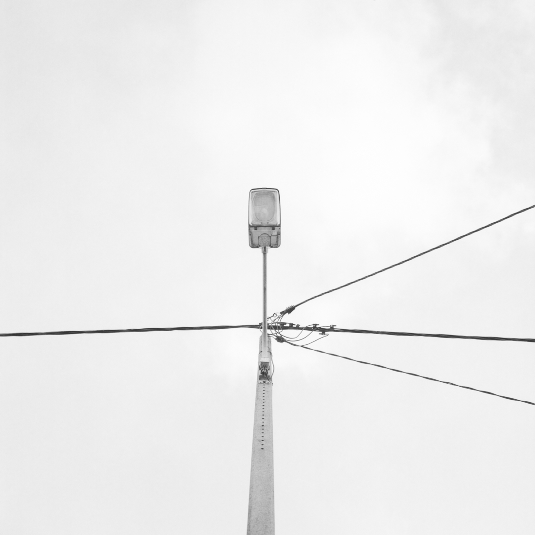 Lines