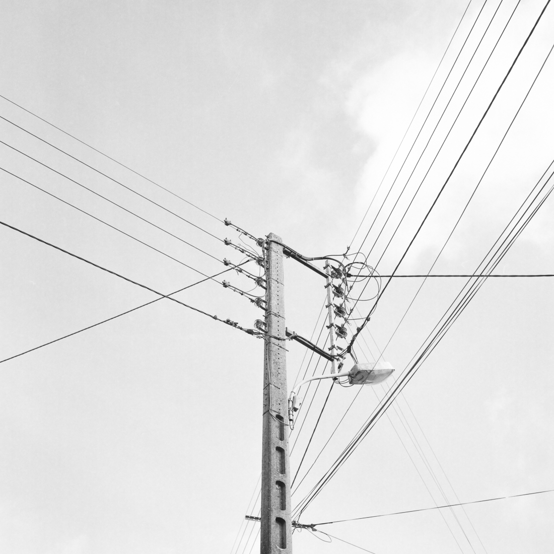 Lines