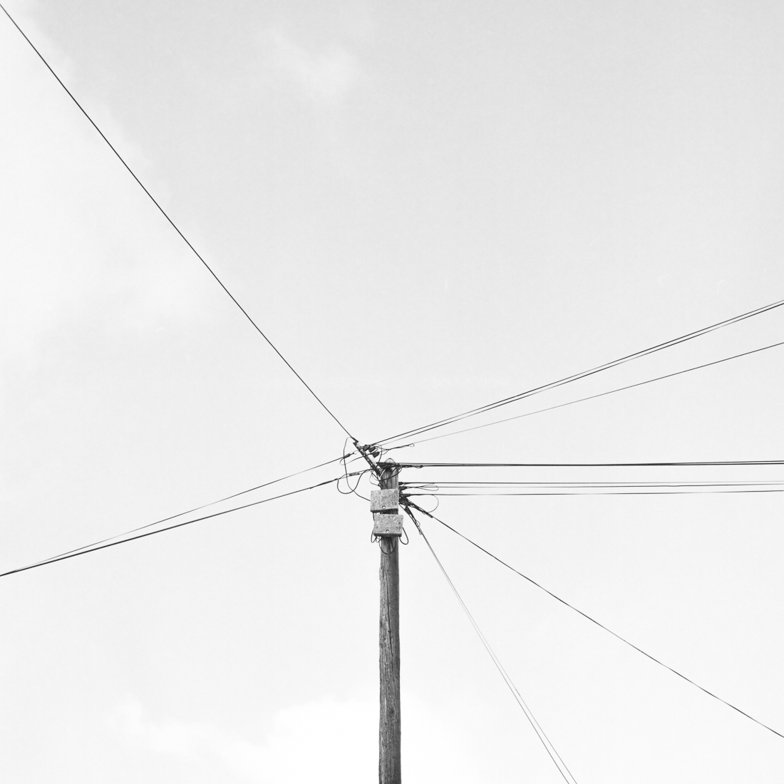 Lines