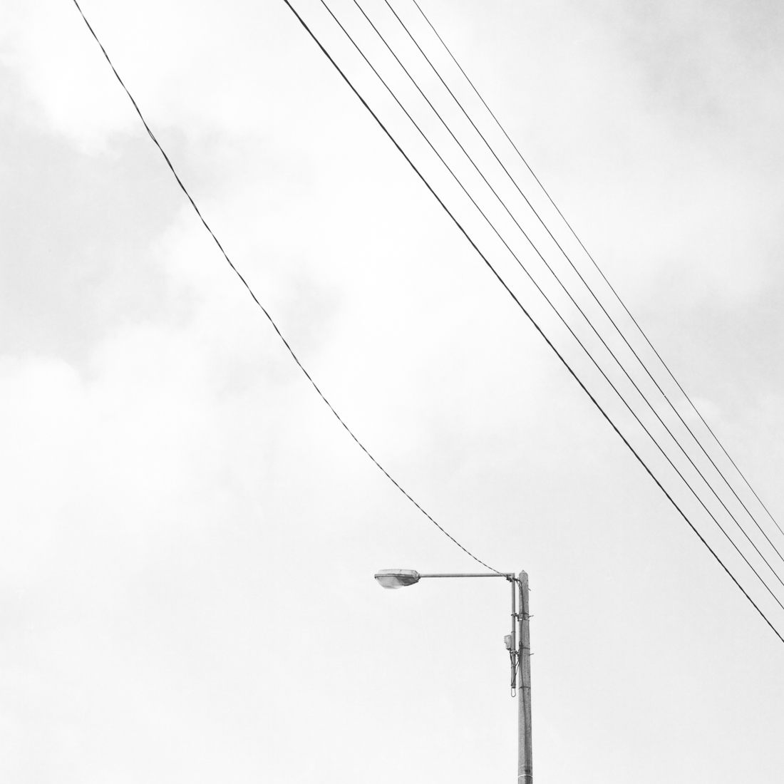 Lines